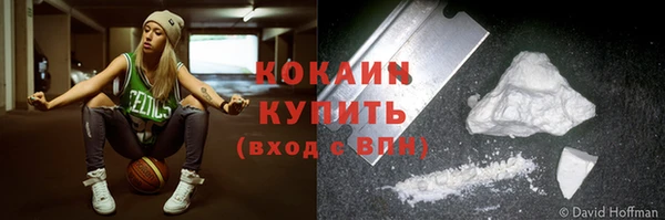 Альфа ПВП Бородино