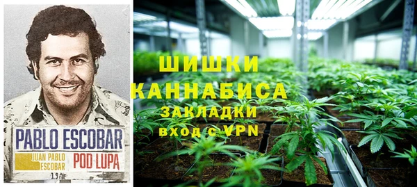 Альфа ПВП Бородино