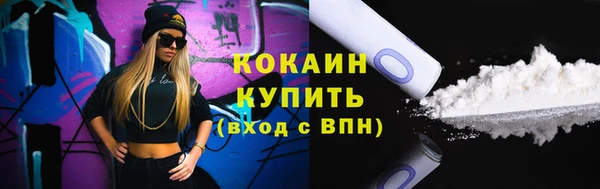 Альфа ПВП Бородино