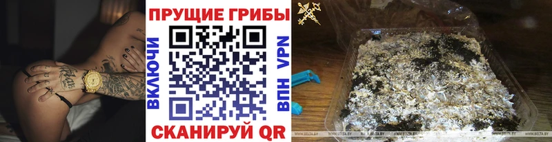 Купить где  Воскресенск  Псилоцибиновые грибы Magic Shrooms 